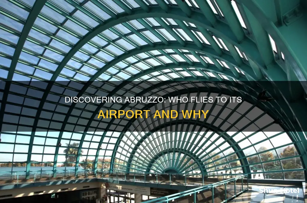 who flies to abruzzo airport