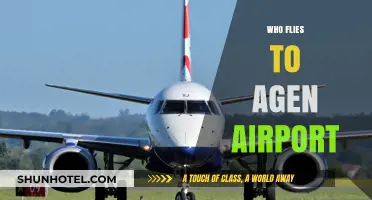 Discovering Agen Airport: Who Flies In and Why It Matters