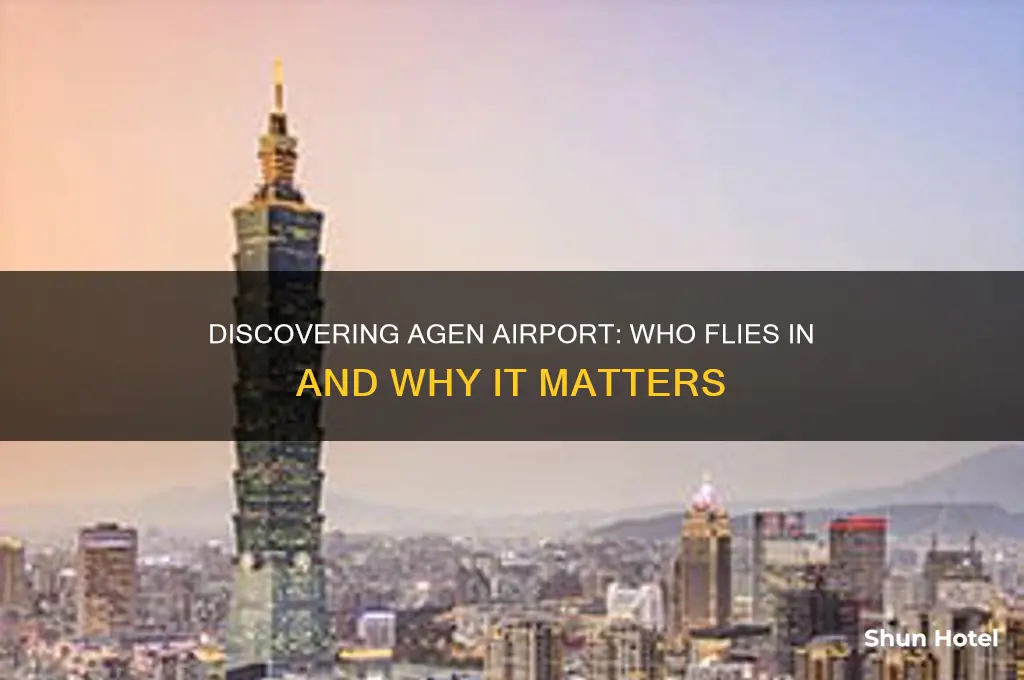 who flies to agen airport