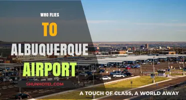 Who Flies to Albuquerque Airport? Exploring Passenger Demographics and Trends