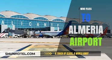 Discovering Almeria Airport: Who Flies In and Why It's Popular