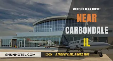 Discovering Travelers to Carbondale IL: Nearby Airport Flight Insights