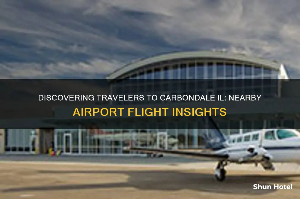 who flies to an airport near carbondale il