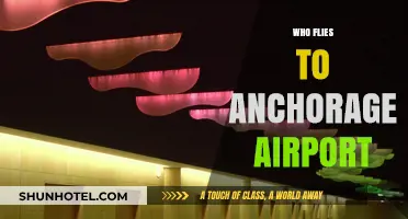 Who Flies to Anchorage Airport? Exploring Passenger Demographics and Trends