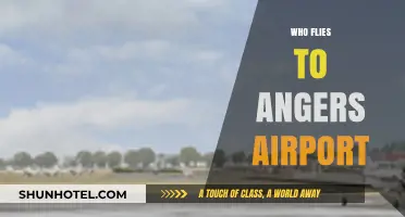Discovering Angers Airport: Who Flies In and Why It Matters