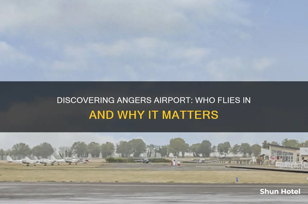 who flies to angers airport