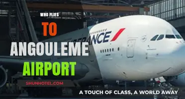 Who Flies to Angoulême Airport: Travelers, Routes, and Airlines Explained