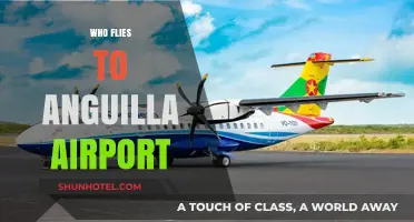 Who Flies to Anguilla Airport: Airlines, Routes, and Travel Tips