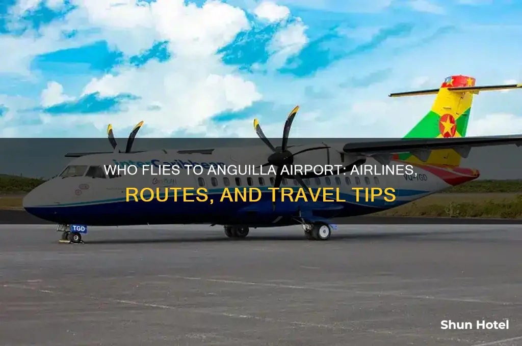 who flies to anguilla airport