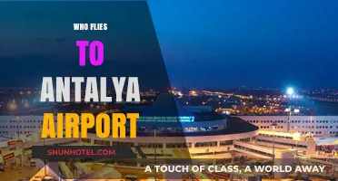 Who Flies to Antalya Airport? Top Airlines and Routes Revealed