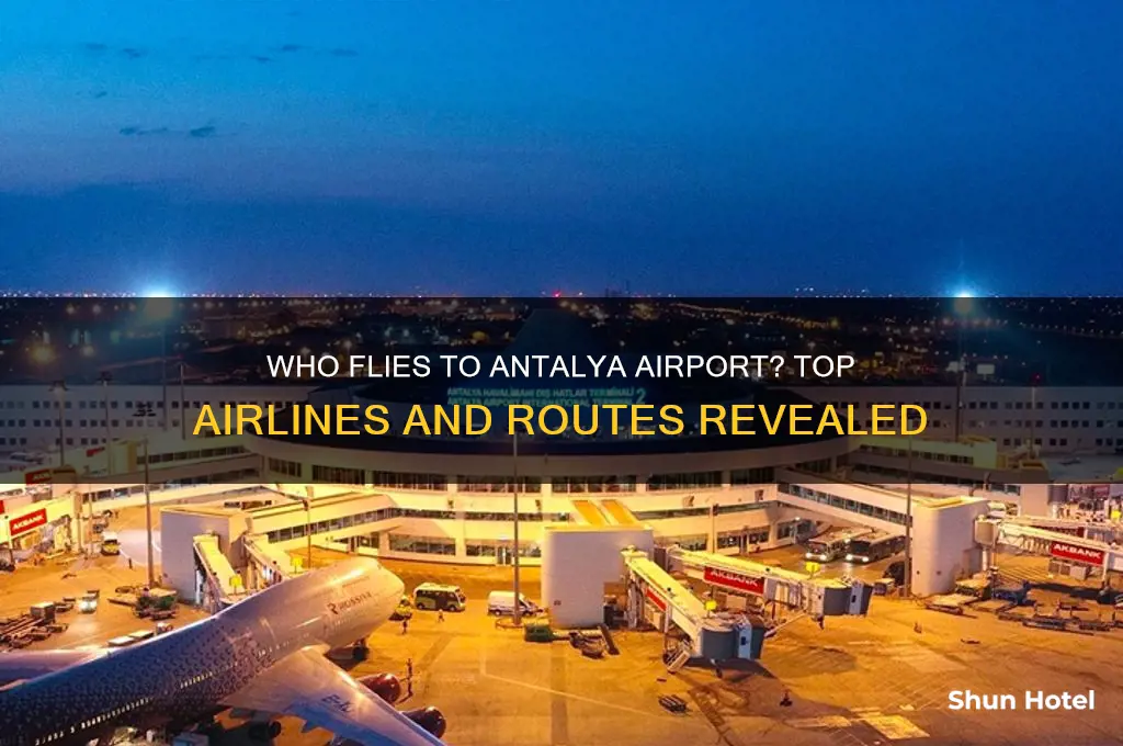 who flies to antalya airport