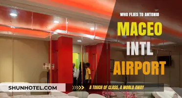 Discovering Travelers: Who Flies to Antonio Maceo Intl Airport?