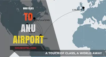 Who Flies to ANU Airport? Exploring Airlines and Routes