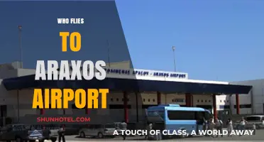 Who Flies to Araxos Airport? Exploring Passenger Demographics and Trends