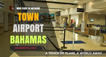 Discovering Travelers: Who Flies to Arthur's Town Airport, Bahamas?
