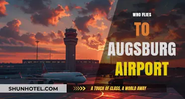 Discovering Augsburg Airport: Who Flies In and Why?