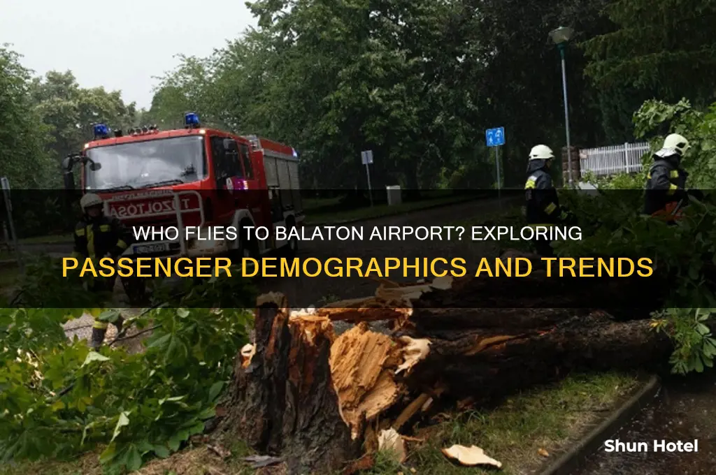 who flies to balaton airport