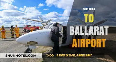 Who Uses Ballarat Airport? Exploring Passenger Types and Destinations