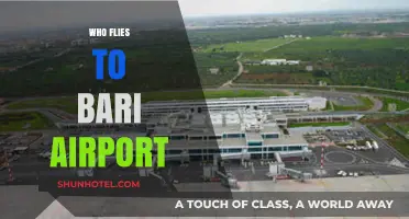 Discovering Bari Airport: Who Flies In and Why It's Popular