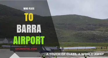 Discovering Barra Airport: Who Flies to This Unique Beach Runway?