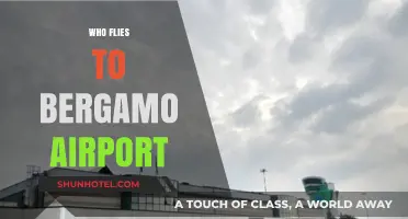 Who Flies to Bergamo Airport? Exploring Popular Airlines and Routes