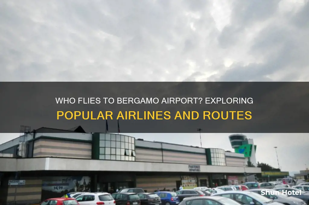 who flies to bergamo airport
