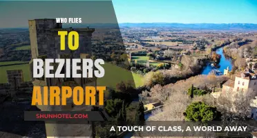 Discovering Béziers Airport: Who Flies In and Why It's Popular