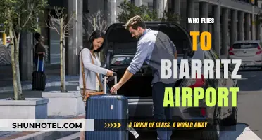 Discovering Biarritz Airport: Who Flies In and Why?