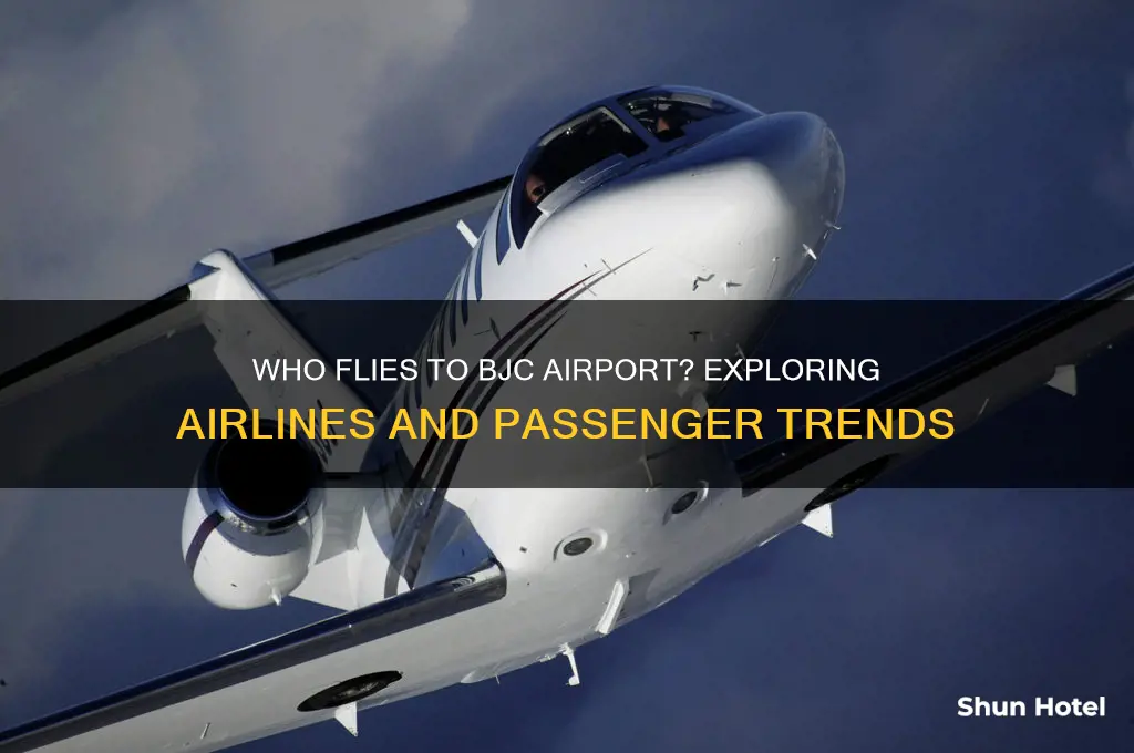 who flies to bjc airport