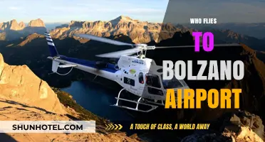 Discovering Bolzano Airport: Who Flies In and Why