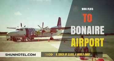 Discovering Bonaire: Who Flies to Flamingo International Airport?