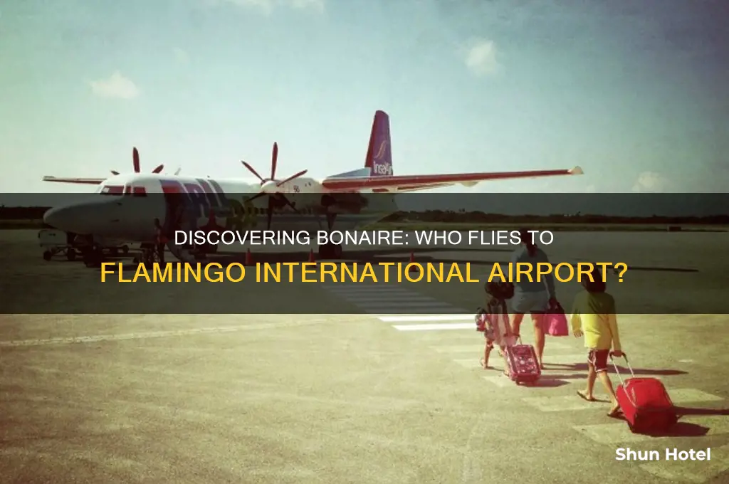 who flies to bonaire airport