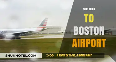 Who Flies to Boston Airport? Exploring Airlines and Passenger Trends