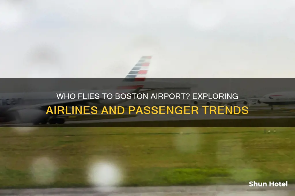 who flies to boston airport