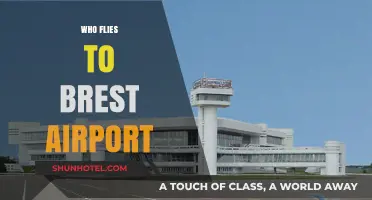 Who Flies to Brest Airport? Exploring Passenger Demographics and Trends