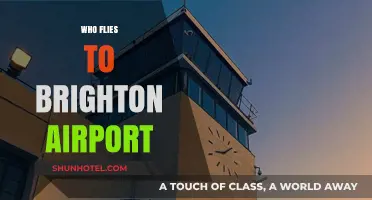 Who Flies to Brighton Airport? Exploring Passenger Demographics and Trends