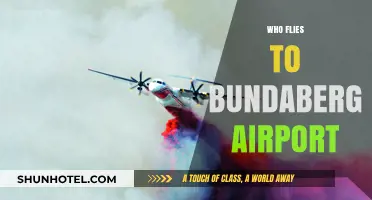 Who Flies to Bundaberg Airport? Travelers, Locals, and More Explained
