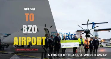 Discovering Bolzano Airport: Who Flies to BZO and Why?