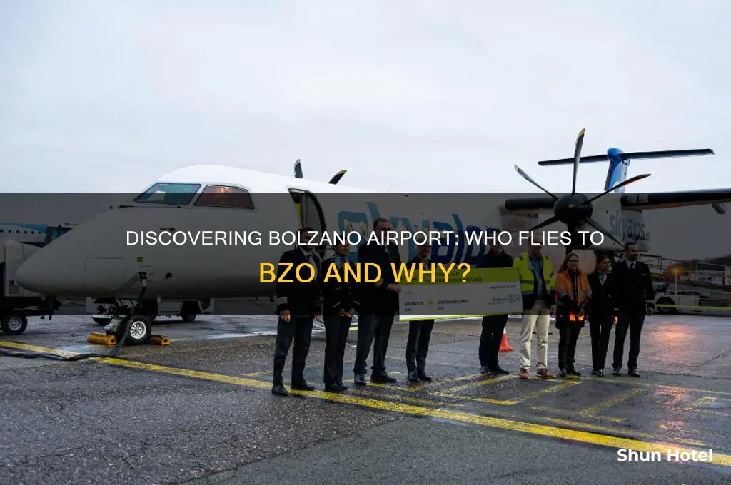 who flies to bzo airport