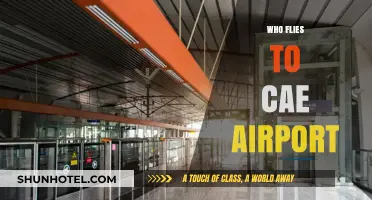 Who Flies to CAE Airport? Exploring Columbia's Air Travelers