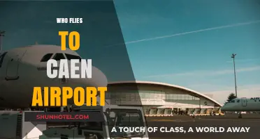 Discovering Travelers: Who Flies to Caen Airport and Why