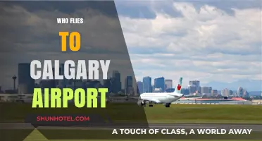 Discovering Calgary Airport's Diverse Passenger Base: Who Flies In?