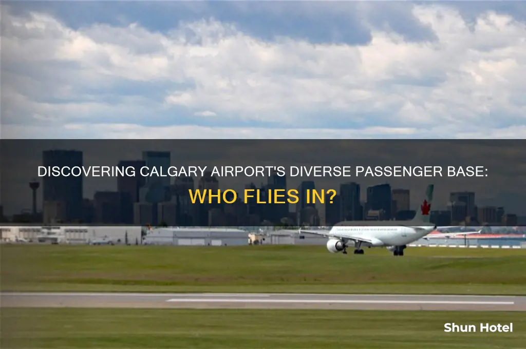 who flies to calgary airport