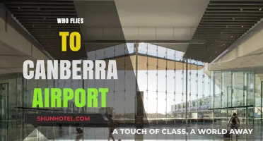 Who Flies to Canberra Airport? Exploring Passenger Demographics and Trends