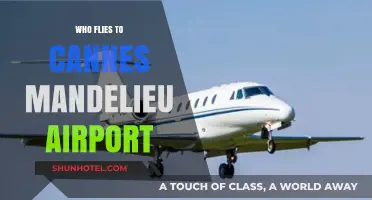 Who Flies to Cannes Mandelieu Airport? A Traveler's Guide