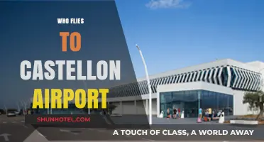 Who Flies to Castellon Airport? Exploring Its Travelers and Routes