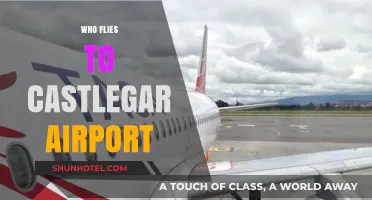 Who Flies to Castlegar Airport? Exploring Passengers and Airlines