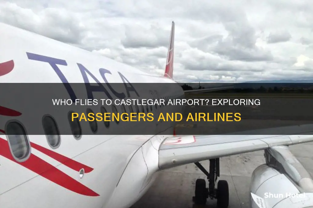 who flies to castlegar airport