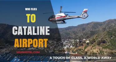 Who Flies to Catalina Airport? Exploring the Unique Visitors and Flights
