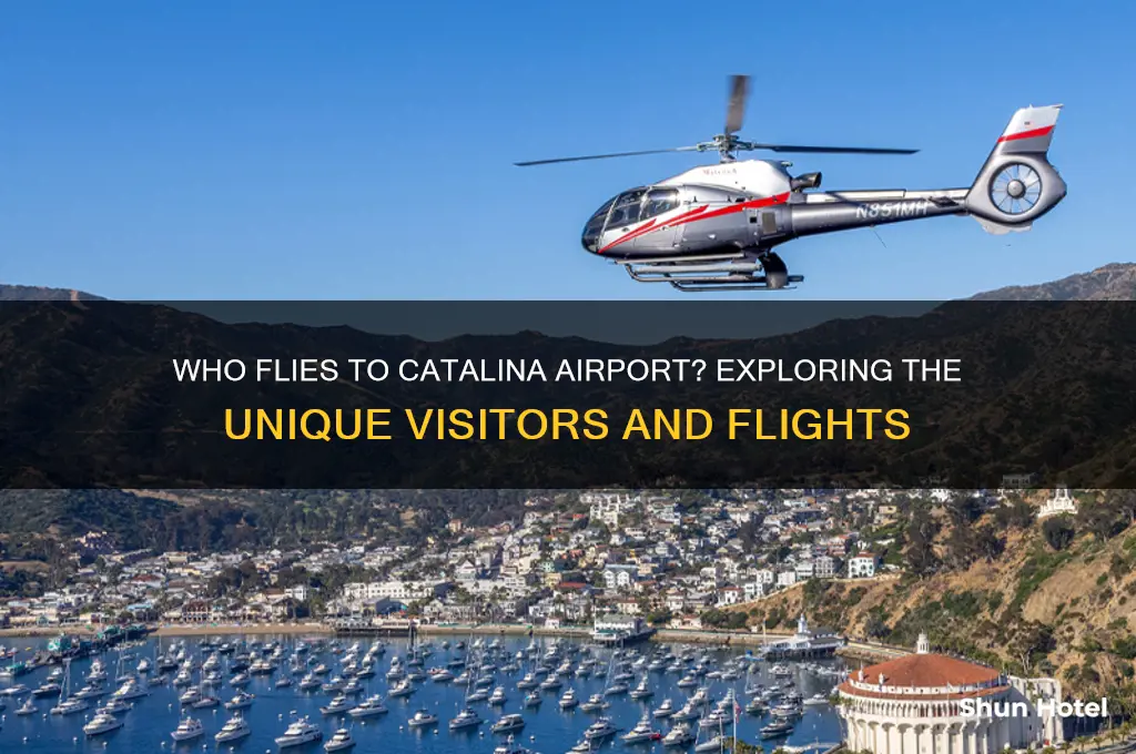 who flies to cataline airport